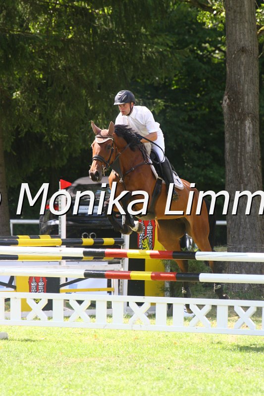 308M0148_Jamaica Sun_Springpferde_L.JPG